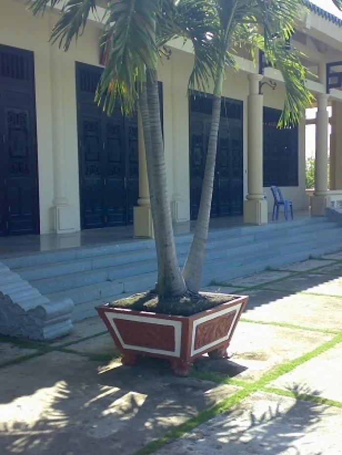 Tam Cấp Mây